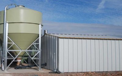 Why Are Organisations Are Adopting Biomass