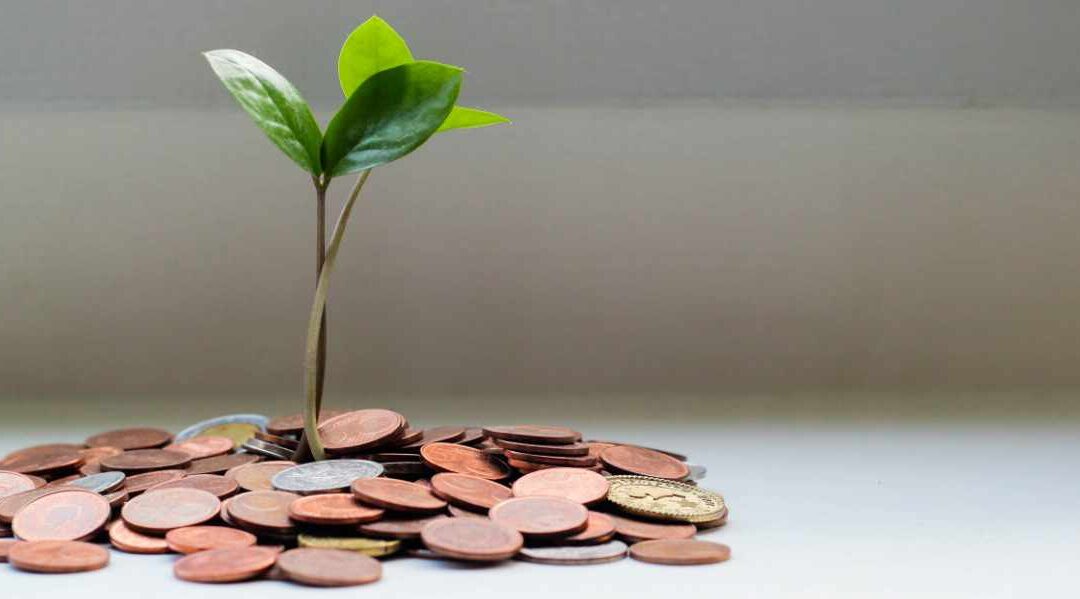 Budgeting for Your Charity’s Costs During the Recession